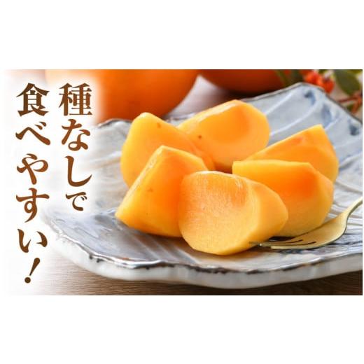 ふるさと納税 果物類 柿 福井県 あわら市  先行予約 越前柿 16個入 約2.5kg（M〜2L） JA受賞歴親子２代 ／ 果物 フルーツ 柿 産地直送 期間限定 2026年11月上…_4