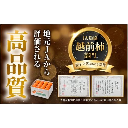 ふるさと納税 果物類 柿 福井県 あわら市  先行予約 越前柿 16個入 約2.5kg（M〜2L） JA受賞歴親子２代 ／ 果物 フルーツ 柿 産地直送 期間限定 2026年11月上…_5