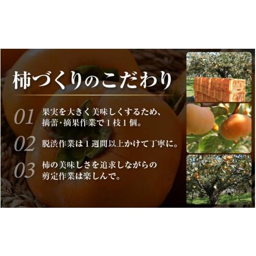 ふるさと納税 果物類 柿 福井県 あわら市  先行予約 越前柿 16個入 約2.5kg（M〜2L） JA受賞歴親子２代 ／ 果物 フルーツ 柿 産地直送 期間限定 2026年11月上…_7