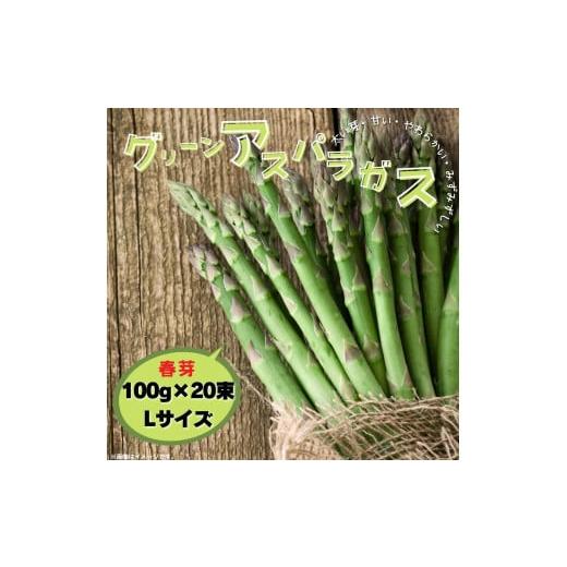 ふるさと納税 野菜類 アスパラガス 茨城県 鉾田市 グリーンアスパラガス(春芽)100g×20束/Lサイズ
