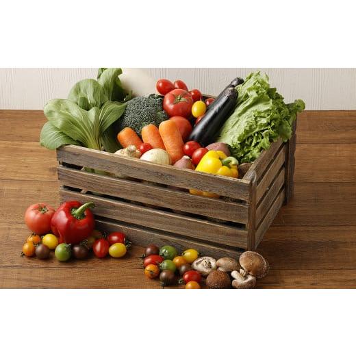 完動品 ふるさと納税 熊本県 益城町 12ヶ月 定期便 益城三昧 【AA1567053044】(55200円)