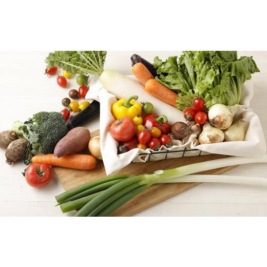 完動品 ふるさと納税 熊本県 益城町 12ヶ月 定期便 益城三昧 【AA1567053044】(55200円)