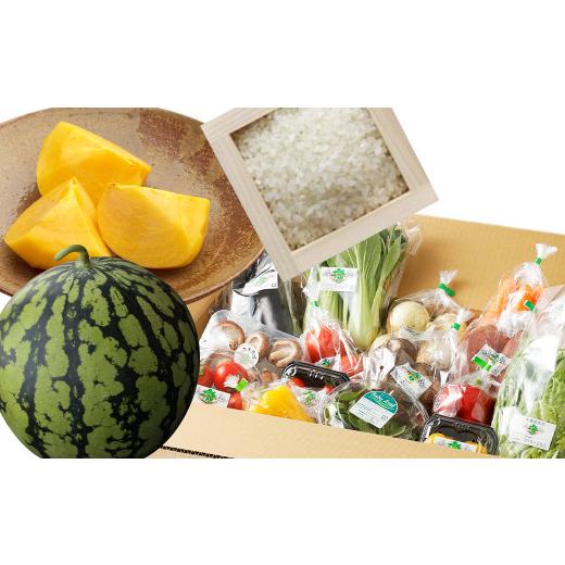 完動品 ふるさと納税 熊本県 益城町 12ヶ月 定期便 益城三昧 【AA1567053044】(55200円)