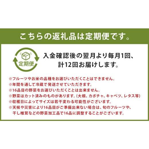 完動品 ふるさと納税 熊本県 益城町 12ヶ月 定期便 益城三昧 【AA1567053044】(55200円)