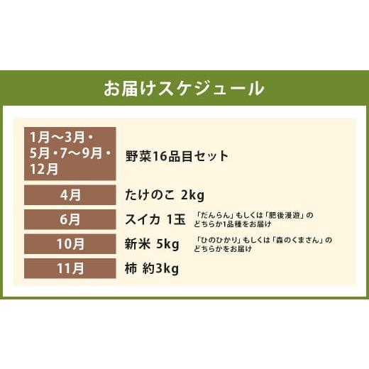 完動品 ふるさと納税 熊本県 益城町 12ヶ月 定期便 益城三昧 【AA1567053044】(55200円)
