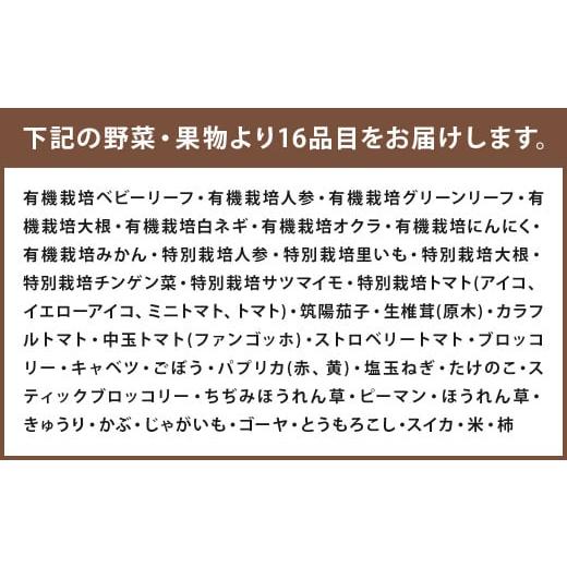 完動品 ふるさと納税 熊本県 益城町 12ヶ月 定期便 益城三昧 【AA1567053044】(55200円)