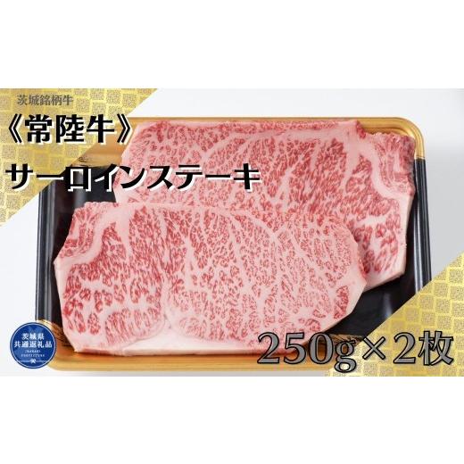 ふるさと納税 牛肉 サーロイン 茨城県 利根町 茨城銘柄牛常陸牛 サーロインステーキ 250g×2枚(茨城県共通返礼品) 250g×2枚