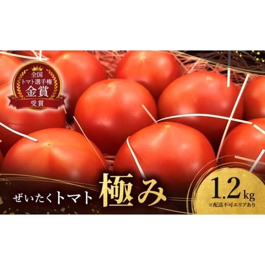ふるさと納税 野菜類 トマト 兵庫県 稲美町 ぜいたく トマト (極み) 1.2kg 第一回全国トマト選手権(ミディアム部門)金賞
