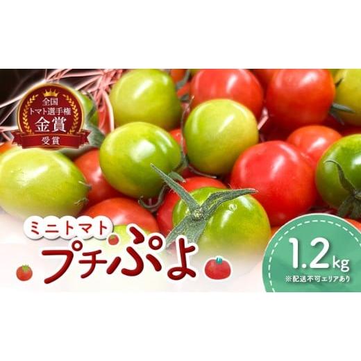 ふるさと納税 トマト ミニトマト 兵庫県 稲美町 ミニトマト プチぷよ 1.2kg 第一回全国 ミニトマト 選手権銀賞