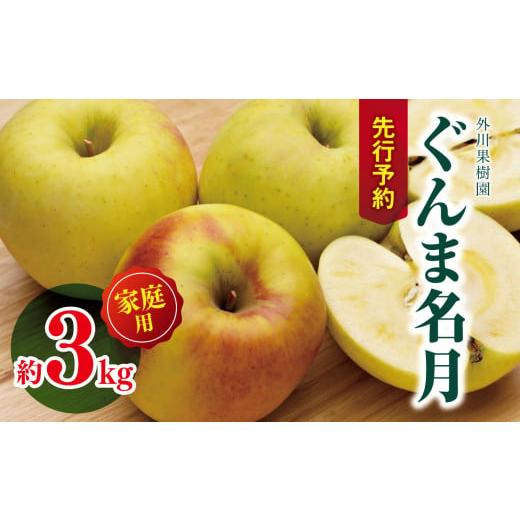 ふるさと納税 りんご 長野県 松川村 2025年先行予約 家庭用 ぐんま名月 約3kg | 外川果樹園 リンゴ りんご 林檎 果物 フルーツ 果実 果汁 ぐんま名月 ぐんま…