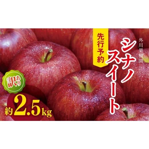 ふるさと納税 りんご 長野県 松川村 2026年先行予約 訳あり シナノスイート 約2.5kg | 外川果樹園 リンゴ りんご 林檎 果物 フルーツ 果実 果汁 シナノスイ…