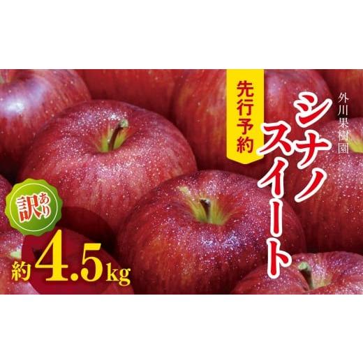 ふるさと納税 りんご 長野県 松川村 2026年先行予約 訳あり シナノスイート 約4.5kg| 外川果樹園 リンゴ りんご 林檎 果物 フルーツ 果実 果汁 シナノスイー…