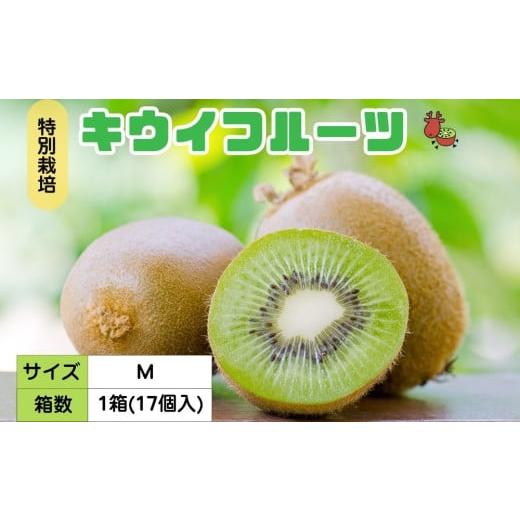 ふるさと納税 果物類 奈良県 宇陀市 12月以降順次発送 プレミアム キウイ フルーツ Mサイズ 17個入 追熟処理済 / ふるさと納税 キウイ キウイフルーツ ギフ…