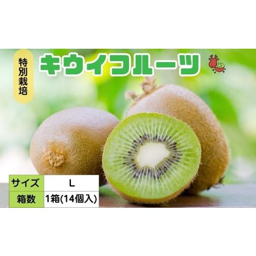 ふるさと納税 果物類 奈良県 宇陀市 12月以降順次発送 プレミアム キウイ フルーツ Lサイズ 14個入 追熟処理済 / ふるさと納税 キウイ キウイフルーツ ギフ…