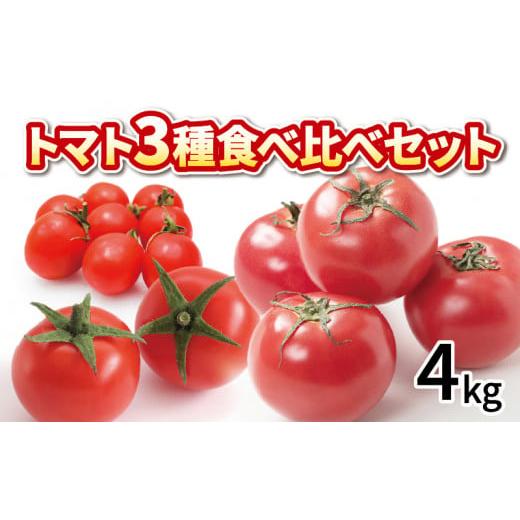 ふるさと納税 トマト ミニトマト 徳島県 阿波市 先行予約 トマト ミニトマト 4kg 3種 食べ比べ セット 冷蔵 詰め合わせ 千果 フルティカ かれん 野菜 完熟 糖…