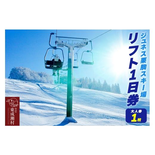 ふるさと納税 スキーチケット 秋田県 東成瀬村 秋田県東成瀬村 ジュネス栗駒スキー場 リフト1日券(大人券1枚) スキー場 リフト券 ジュネス栗駒スキー場 大人…