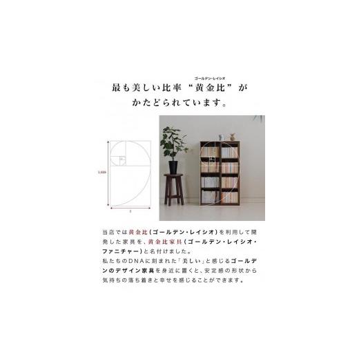 ふるさと納税 家具 本棚・ラック・カラーボックス 和歌山県 海南市 スライド本棚 W575 ウォールナット aku100688503 ウォールナット aku100688503の画像