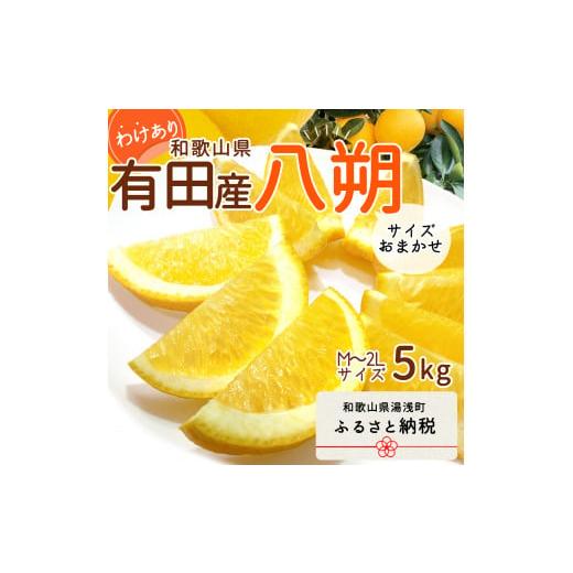 ふるさと納税 みかん・柑橘類 和歌山県 湯浅町 DI6030n_和歌山県有田産 八朔 5kg 訳あり (M〜2Lサイズおまかせ)
