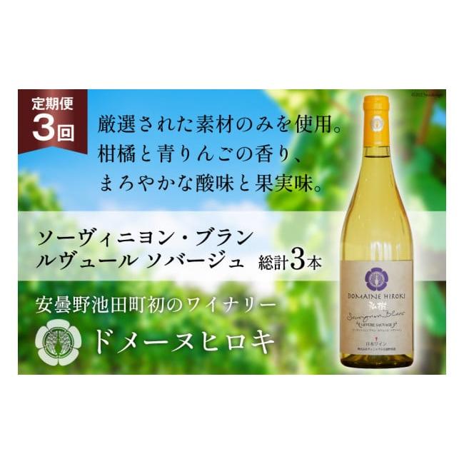 ふるさと納税 ワイン 白ワイン 長野県 池田町 3回 ワイン 定期便 ソーヴィニヨン ブラン ルヴュール ソバージュ750ml 1本 ×3回 総計3本 ヴィニョブル安曇野 …_1
