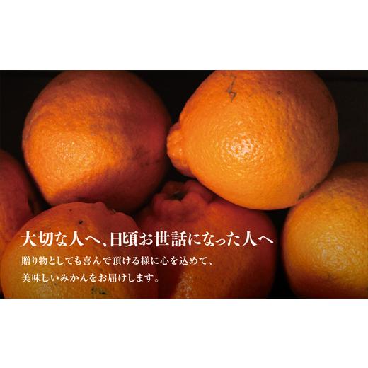 ふるさと納税 愛媛県 八幡浜市 C45-56.星乃みかん園の星乃 デコ