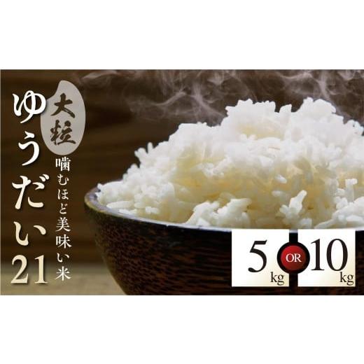 ふるさと納税 米 岐阜県 飛騨市 特別栽培米 令和7年産 ゆうだい21 飛騨産 5kg 単品 米 5キロ 新米 阪口農園 特A 米 白米 こめ コメ ごはん 単一原料米 飛騨市 …