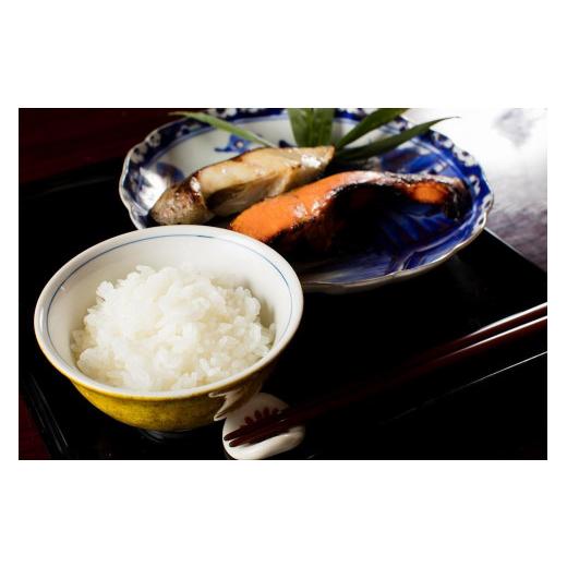 ブランド ふるさと納税 新潟県 津南町 【令和5年産 新米】【特選！魚沼産コシヒカリ 無洗米10kg（5kg×2袋）×全12回】雪解け水がお米を育む、津南町特A地区の特選プレ… 【VQ6024626276】(212220円)