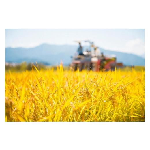 ブランド ふるさと納税 新潟県 津南町 【令和5年産 新米】【特選！魚沼産コシヒカリ 無洗米10kg（5kg×2袋）×全12回】雪解け水がお米を育む、津南町特A地区の特選プレ… 【VQ6024626276】(212220円)