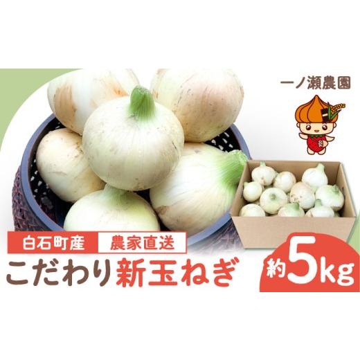 ふるさと納税 野菜類 玉ねぎ 佐賀県 白石町  農家直送 こだわり 新玉ねぎ （サイズ混合） 約5kg 一ノ瀬農園 早生 玉葱 野菜 佐賀県 白石 IBQ003の画像