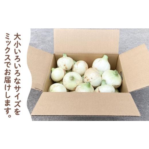 ふるさと納税 野菜類 玉ねぎ 佐賀県 白石町  農家直送 こだわり 新玉ねぎ （サイズ混合） 約5kg 一ノ瀬農園 早生 玉葱 野菜 佐賀県 白石 IBQ003の画像
