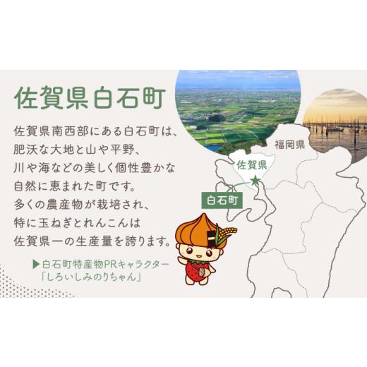 ふるさと納税 野菜類 玉ねぎ 佐賀県 白石町  農家直送 こだわり 新玉ねぎ （サイズ混合） 約5kg 一ノ瀬農園 早生 玉葱 野菜 佐賀県 白石 IBQ003の画像