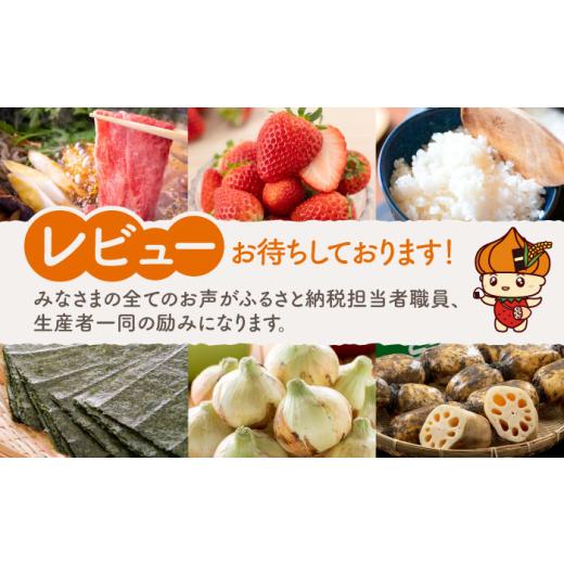 ふるさと納税 野菜類 玉ねぎ 佐賀県 白石町  農家直送 こだわり 新玉ねぎ （サイズ混合） 約5kg 一ノ瀬農園 早生 玉葱 野菜 佐賀県 白石 IBQ003の画像