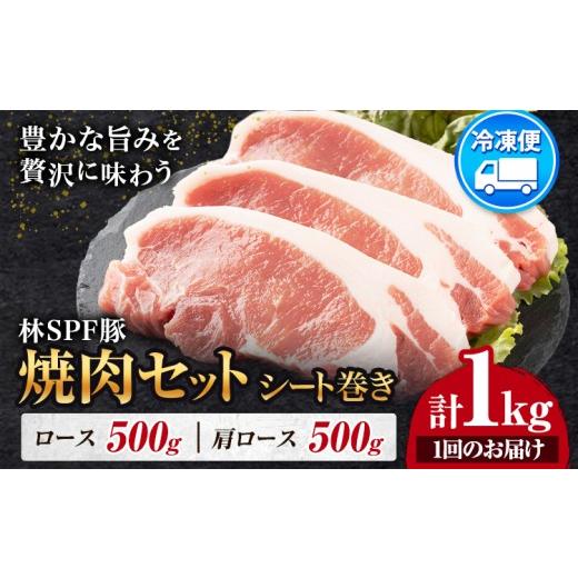 ふるさと納税 豚肉 焼肉・バーベキュー 千葉県 東庄町 林SPF豚 焼肉セット シート巻き 計1kg 田谷ミートセンター株式会社[60日以内に出荷予定(土日祝除く)]…