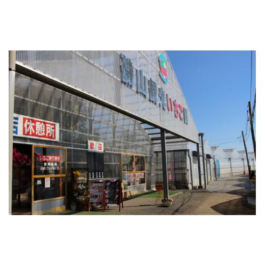 ふるさと納税 体験チケット 千葉県 東庄町  磯山観光いちご園 いちご狩り30分食べ放題チケット4枚 いちご 苺 イチゴ 体験チケット いちご狩り 果物狩り 体験 … |  | 06