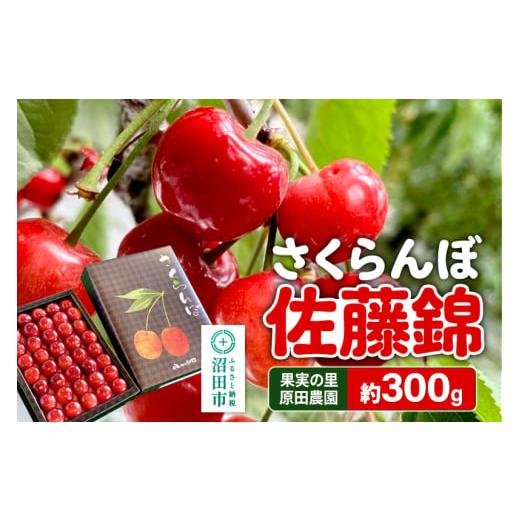 ふるさと納税 果物類 さくらんぼ 群馬県 沼田市 [2026年6月下旬〜7月中旬発送]果実の里 原田農園 さくらんぼ(佐藤錦)約300g