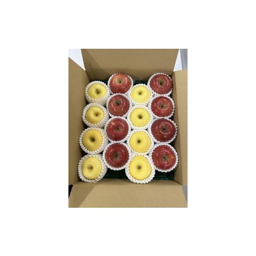 ふるさと納税 りんご 山形県 中山町 2026年発送 りんご紅白MIX ふじ・はるか 5kg 14〜20玉