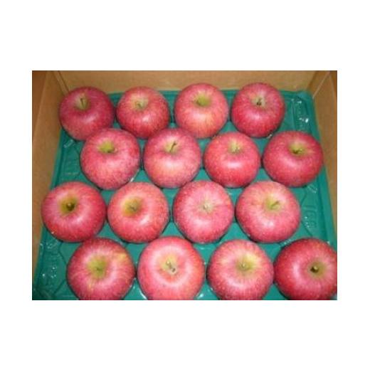 ふるさと納税 りんご 山形県 中山町 2026年発送 りんご サンふじ 秀5kg 14玉〜20玉