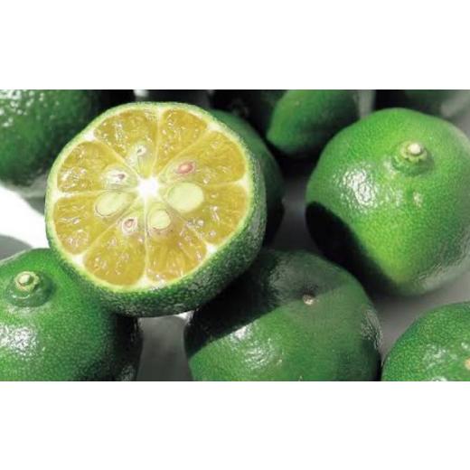 ふるさと納税 果汁飲料 みかん 沖縄県 本部町 沖縄県産青切りシークヮーサー100％果汁（6本セット） 沖縄県 沖縄 青果 果実 フレッシュ 瓶 シークァーサー 本…_2