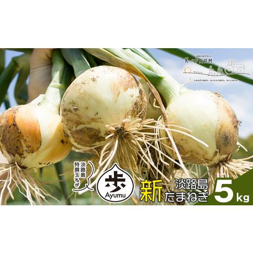 ふるさと納税 野菜類 玉ねぎ 兵庫県 淡路市  新たまねぎ 淡路島たまねぎ 歩-AYUMU- 5kg 発送時期：2026年3月〜5月頃 5kgの画像
