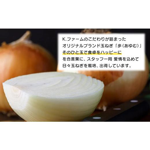 ふるさと納税 野菜類 玉ねぎ 兵庫県 淡路市  新たまねぎ 淡路島たまねぎ 歩-AYUMU- 5kg 発送時期：2026年3月〜5月頃 5kgの画像