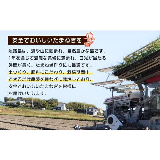 ふるさと納税 野菜類 玉ねぎ 兵庫県 淡路市  新たまねぎ 淡路島たまねぎ 歩-AYUMU- 5kg 発送時期：2026年3月〜5月頃 5kgの画像