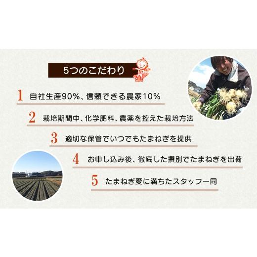 ふるさと納税 野菜類 玉ねぎ 兵庫県 淡路市  新たまねぎ 淡路島たまねぎ 歩-AYUMU- 5kg 発送時期：2026年3月〜5月頃 5kgの画像