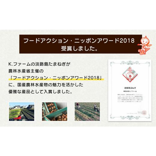 ふるさと納税 野菜類 玉ねぎ 兵庫県 淡路市  新たまねぎ 淡路島たまねぎ 歩-AYUMU- 10kg 発送時期：2026年3月〜5月頃 10kgの画像