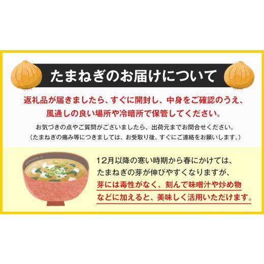 ふるさと納税 野菜類 玉ねぎ 兵庫県 淡路市  新たまねぎ 淡路島たまねぎ 歩-AYUMU- 10kg 発送時期：2026年3月〜5月頃 10kgの画像