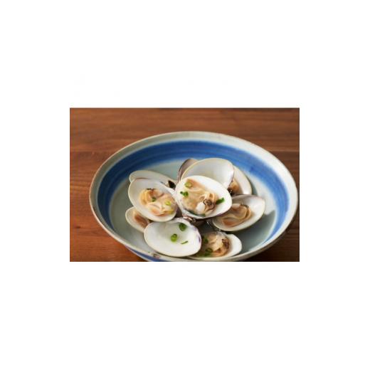 高評価続出！ ふるさと納税 千葉県 旭市 瞬間冷凍　九十九里産地はまぐり5kg【1379557】 【TM7312896286】(25760円)