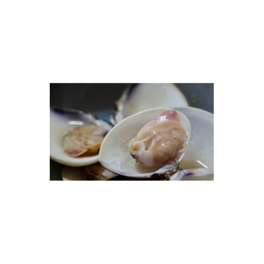 高評価続出！ ふるさと納税 千葉県 旭市 瞬間冷凍　九十九里産地はまぐり5kg【1379557】 【TM7312896286】(25760円)