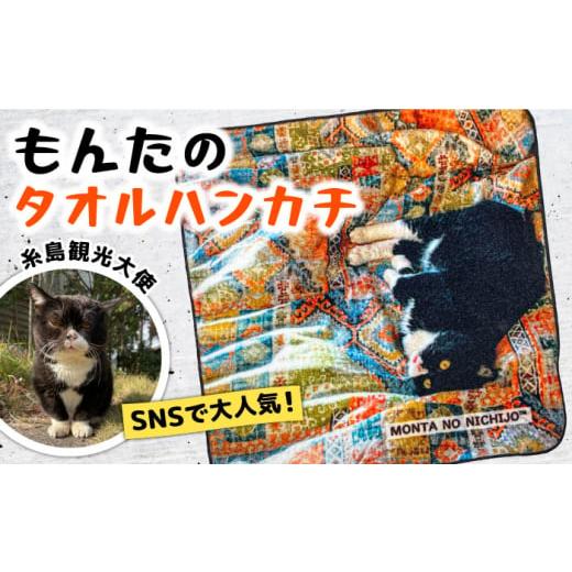 ふるさと納税 福岡県 糸島市 [ SNSで人気の猫 / 糸島観光大使][ もんた ] タオル ハンカチ 糸島市 / Basismall はんかち 今治 タオル 