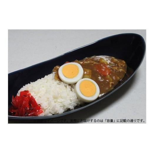 ふるさと納税 食器・グラス 皿 佐賀県 有田町 有田焼 墨ルリペア楕円皿 中 ARITA PORCELAIN LAB アリタポーセリンラボ オーバルボウル カレー皿 パスタ皿 モダ…の画像