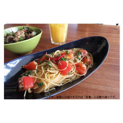 ふるさと納税 食器・グラス 皿 佐賀県 有田町 有田焼 墨ルリペア楕円皿 中 ARITA PORCELAIN LAB アリタポーセリンラボ オーバルボウル カレー皿 パスタ皿 モダ…の画像