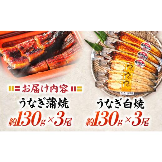 津軽三味線 本鼈甲胴掛け 皮紐付き