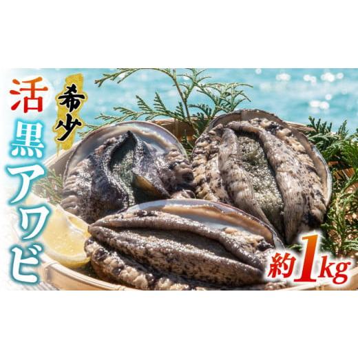 ふるさと納税 長崎県 壱岐市 活アワビ 約1kg(黒アワビ)[壱岐市][丸和水産][JCJ006] 鮑 アワビ あわび 黒鮑 黒アワビ 黒あわび 貝 魚貝 海鮮 刺身 刺し身…